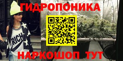 стафф Краснодар
