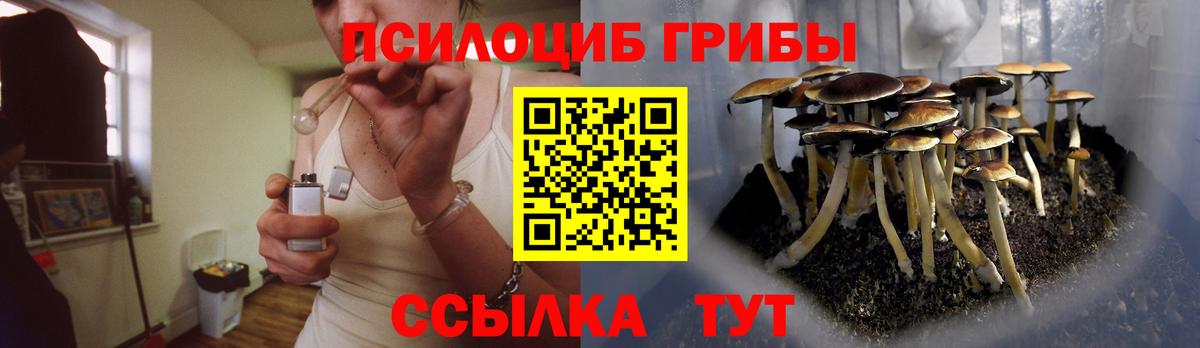 Псилоцибиновые грибы мицелий  Вход с VPN  Королёв 